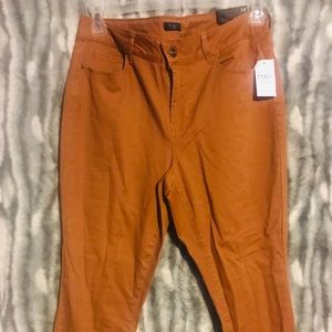 Skinny Mid Rise Jegging